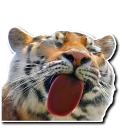Sticker Derptacular Felines - 11
