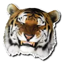 Sticker Derptacular Felines - 4