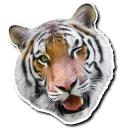 Sticker Derptacular Felines - 0