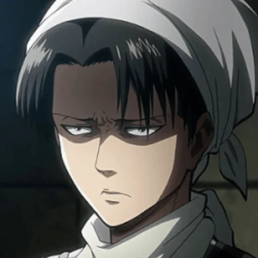 Attack on titan - cartoon