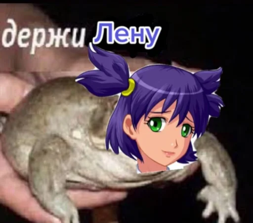 Бля, держи Бесконечное Лето - 