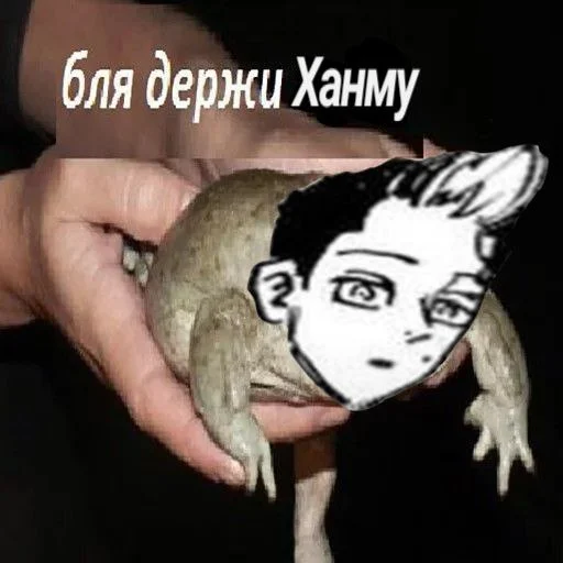 держи ханму - СМС