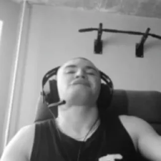 Человек человеческое лицо комнатный