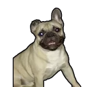 Sticker Derzlo Team - 1