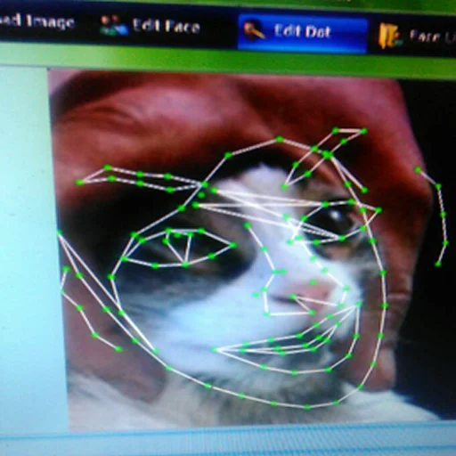 СМС скриншот