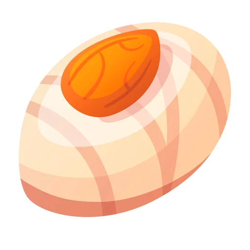 circle orange egg