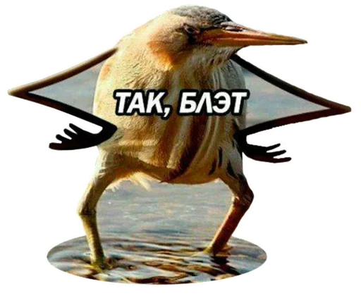 Cheap @stickersb2b - 