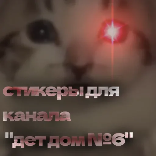 Дет дом №6 - 