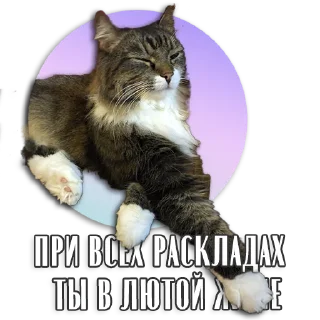 Стикер ТароПак от @DevianTarot - 10