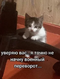 Sticker devo4ka_kate4ka - 1