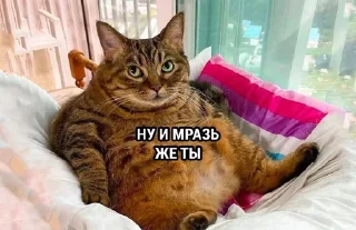 Sticker devo4ka_kate4ka - 4