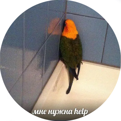 Стикер devule2 - 1