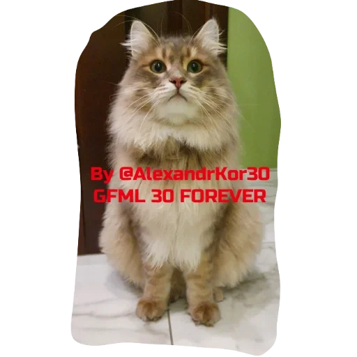 Стикер df7c37cb_a14d_40c5_b0e0_0789d9525e2b_by_sticat_bot - 1