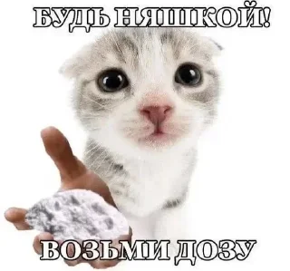 Стикер Жми → @stickfav - 8