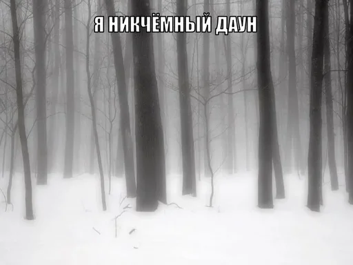 Стикер dfkdfddk - 1