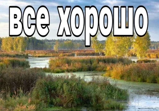 Стикер dfkdfddk - 1