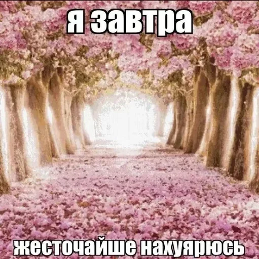 Стикер dfkdfddk - 1