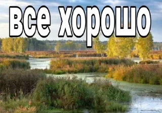 Стикер @dfkdfddk даун - 5