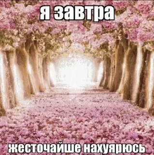 Стикер @dfkdfddk даун - 2