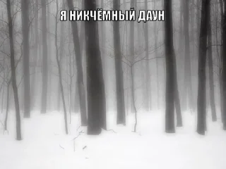 Стикер @dfkdfddk даун - 9