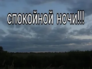 Стикер @dfkdfddk даун - 8