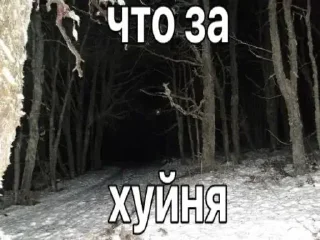 Стикер @dfkdfddk даун - 6