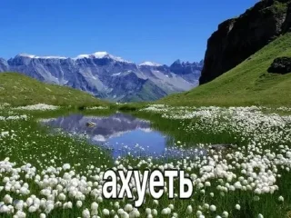 Стикер @dfkdfddk даун - 10