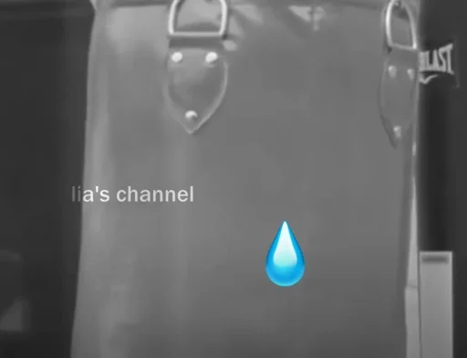 скриншот черно-белый