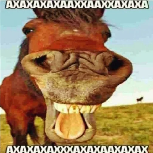 Стикер hahrhhwhsh)hjhho)1)1-481$$-:-:-))))));););;++BSHSHXHXDD - 10