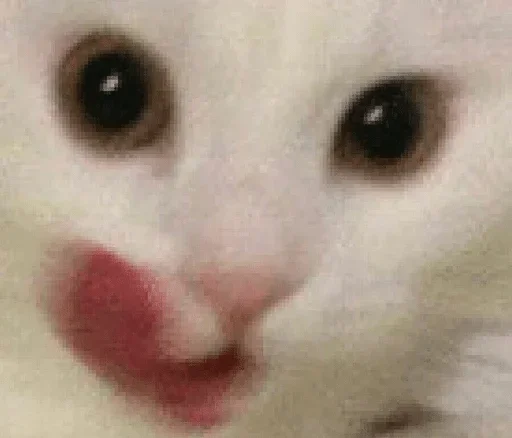 Sticker что говорить, ну, хуй :: @fStikBot - 6