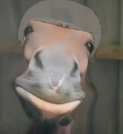 Стикер лошад :: @fStikBot - 2