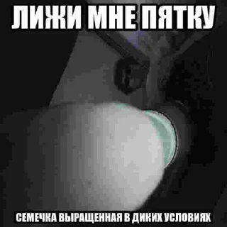 Sticker вовллплад | @m1khailbr_stickerbot - 11