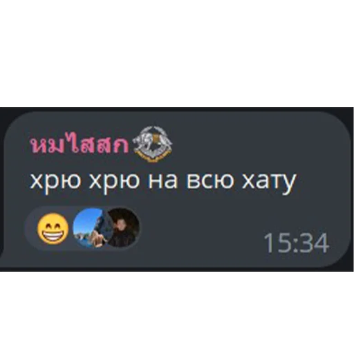 Sticker dibannyeexperty - 1