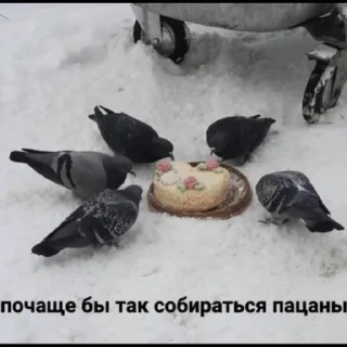 Sticker дичь - 9