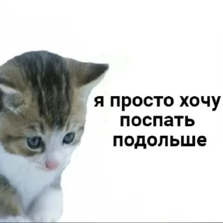 Sticker дичь - 5