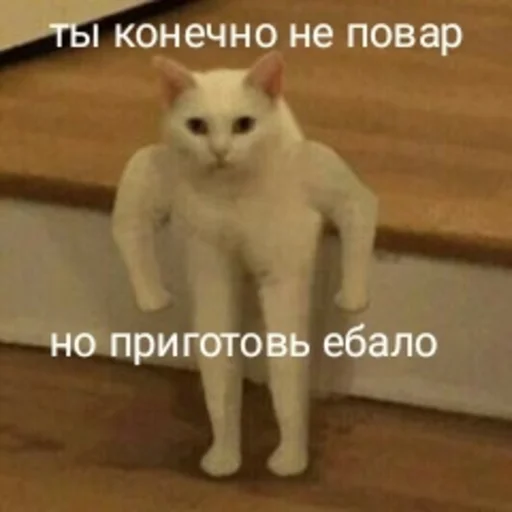 Стикер dickspics - 1