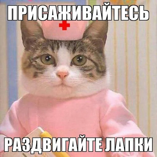 Стикер dickspics - 1