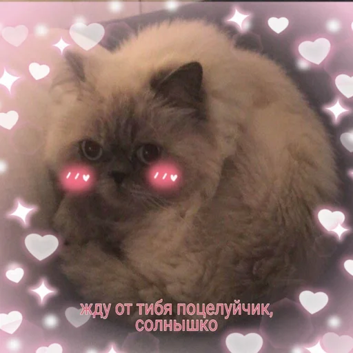 Стикер dickspics - 1