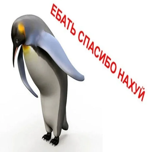 Стикер dickspics - 1