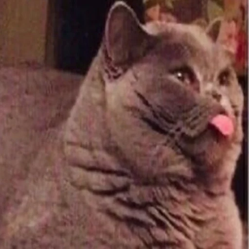 Sticker dickspics - 1