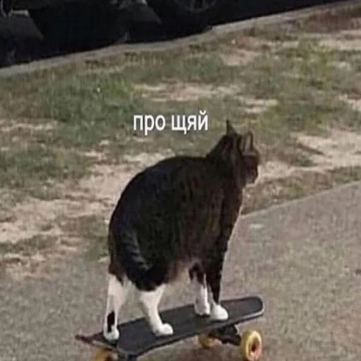 Sticker dickspics - 1