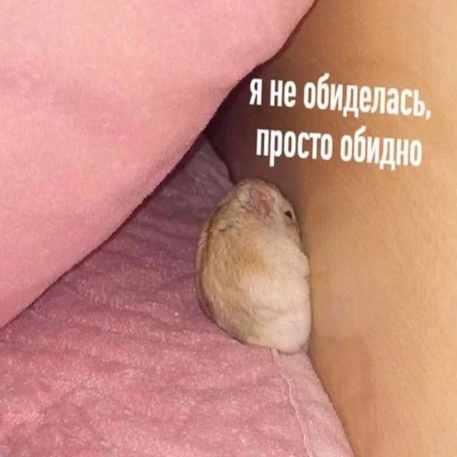 Стикер dickspics - 1