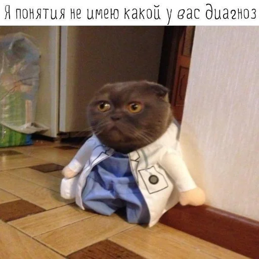 Стикер dickspics - 1