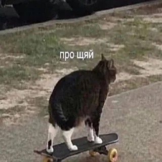 Стикер meшok kartoшku - 3