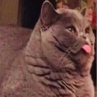 Стикер meшok kartoшku - 6