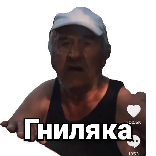 Sticker didTolya - 1