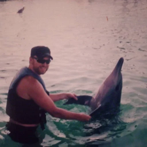 дельфин Человек водные млекопитающие