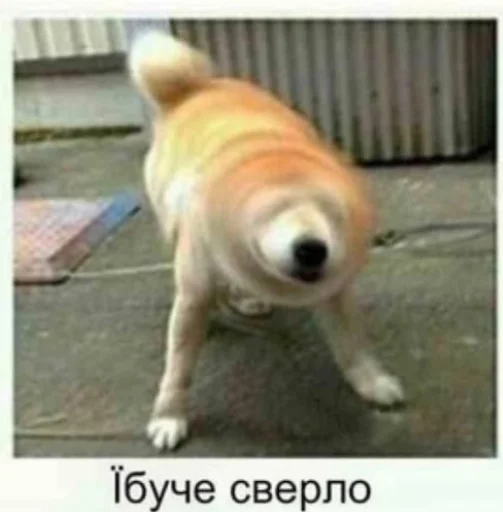 Sticker didimkadimka - 1