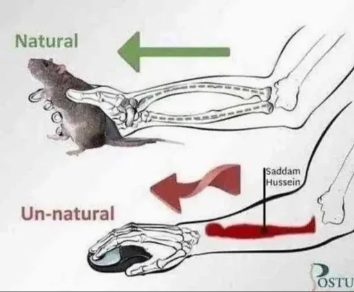 Sticker didimkadimka - 1