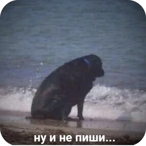 Sticker diffuzorial - 1